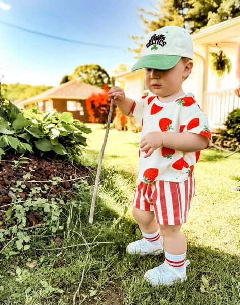 strawberry picking top