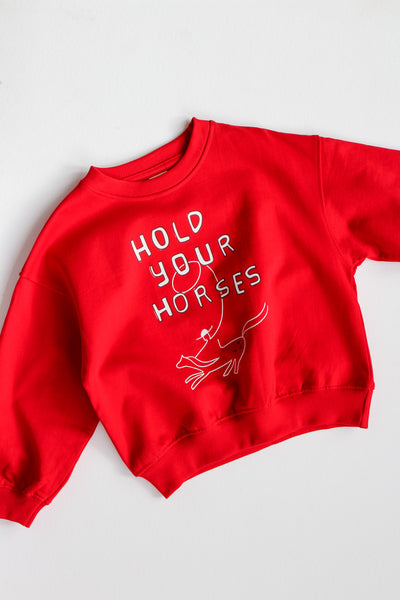 Red sweatshirt with 'Hold Your Horses' text and graphic on a light gray background