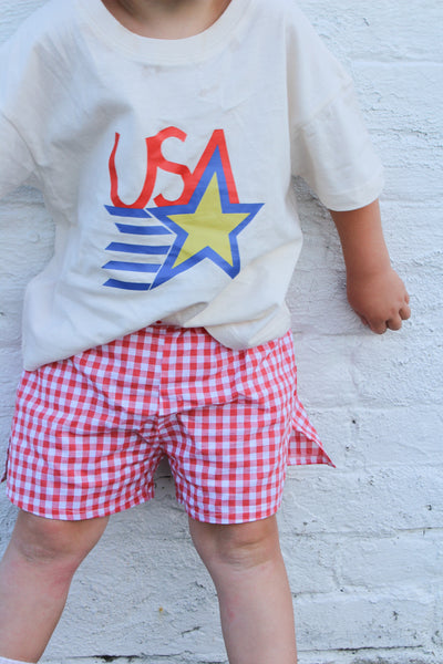 Child wearing a white shirt with a colorful 'USA' design and red checkered shorts against a light gray brick wall.