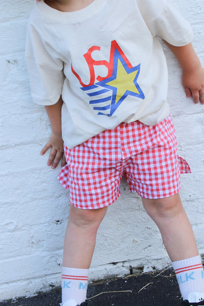 Child wearing a shirt with a colorful star design and red checkered shorts against a white brick wall.